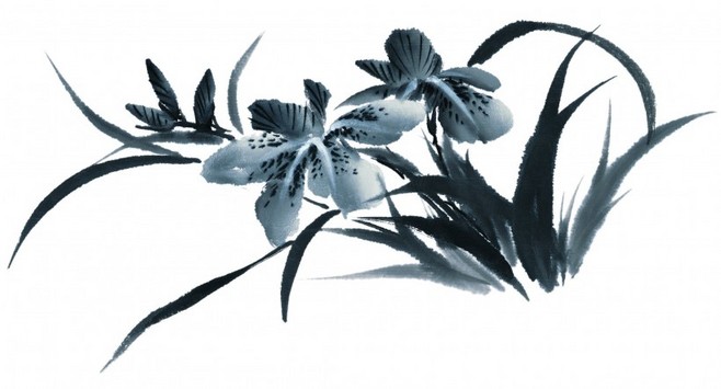 水墨花卉畫作賞析與苗木種植技術(shù)概述